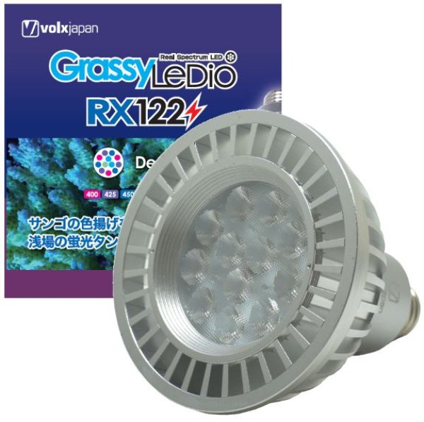 Grassy LeDio RX122 Deep (グラッシーレディオRX122ディープ) 海水用 