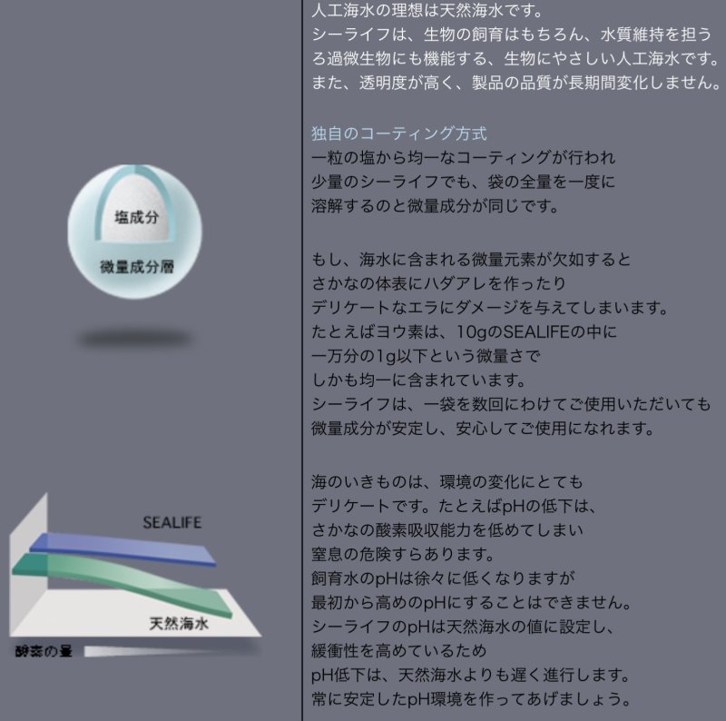 画像3: シーライフ　25L ⭐︎数量限定！ステッカープレゼント中⭐︎ (3)