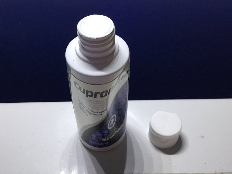 画像3: シーケム　キュプラミン　100ml　銅　白点病治療薬　淡水・海水両用　Seachem (3)