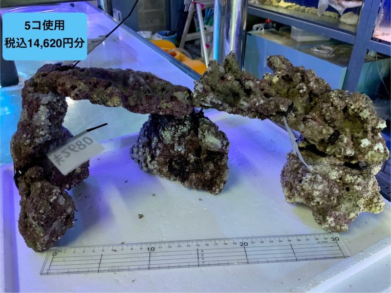 画像8: ライブロック　天然　約1ｋｇ (8)