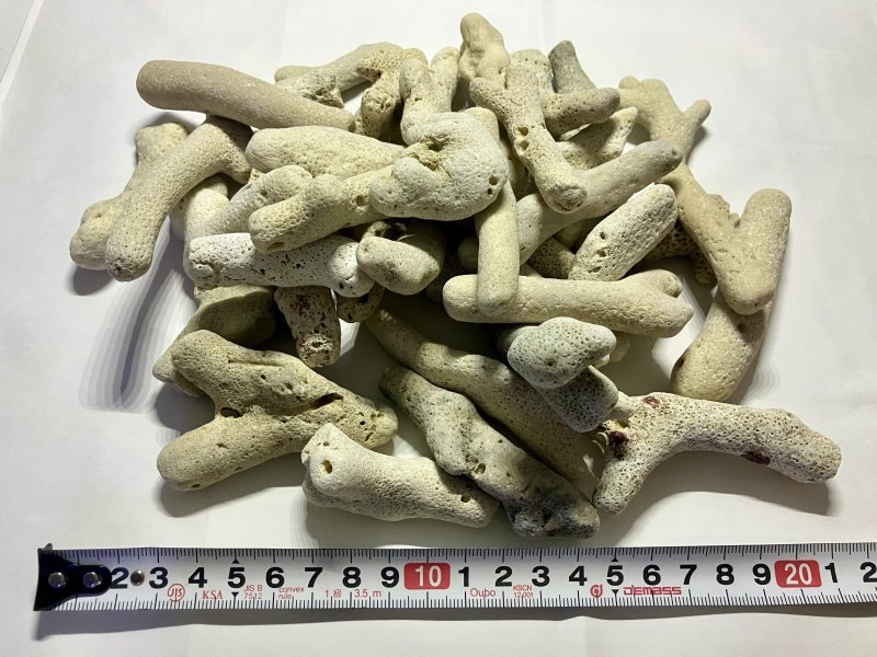 画像1: サンゴ礫（サンゴれき）、大粒サンゴ砂　1L（約1kg） (1)