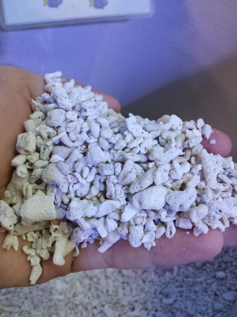 画像1: サンゴ砂　ろ材用　１Ｌ　バクテリア付き　（ろ過菌培養済みろ材） (1)