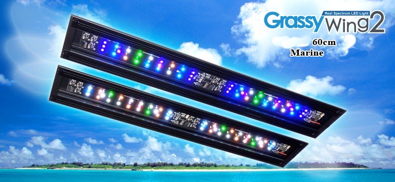 ボルクスジャパン グラッシー Wing 2 60 マリン ウィングツー Led ひかるアクアリューム ネットショップ